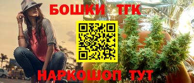 ешки Будённовск