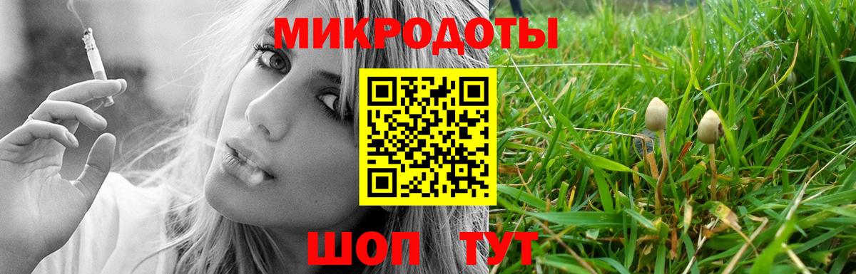 Галлюциногенные грибы Psilocybe Лыткарино