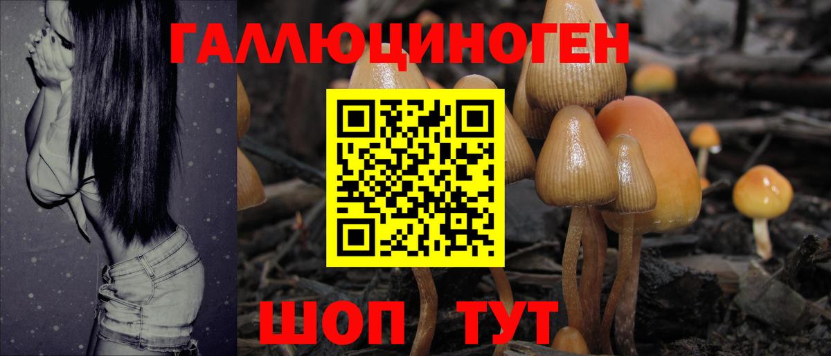 Галлюциногенные грибы GOLDEN TEACHER  Вход с VPN  Лыткарино 